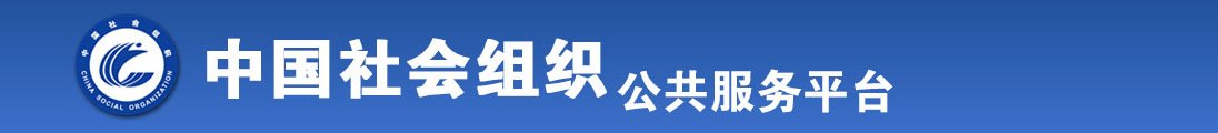 欧美艹逼网全国社会组织信息查询